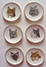 Dollhouse Miniature 6 Cat Plates