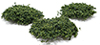 Dollhouse miniature WILD BUSHES - MEDIUM GREEN, 20 PIECES