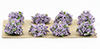 Dollhouse miniature BORDER PLANTS (8), LILAC 1/2