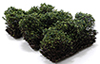 Dollhouse miniature 1" LOW GREEN BUSHES - SET OF 3