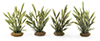 Dollhouse miniature RAZOR GRASS, 4 PIECES, 1-1/2 INCHES TALL