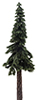 Dollhouse miniature PONDEROSA PINE ON SPIKE, 10 INCHES