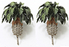 Dollhouse miniature SAGO PALM, 2 PIECE, 2