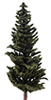 Dollhouse miniature CONIFER TREE ON SPIKE, 8 INCHES