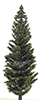 Dollhouse miniature CONIFER TREE ON SPIKE, 10 INCHES