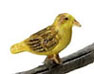 Dollhouse Miniature Norwich Fancy Canary