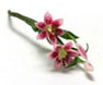 Dollhouse Miniature Tiger Lily, 2 Large Stem, Pink