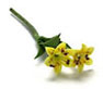 Dollhouse Miniature Tiger Lily, 2 Sm. Stem, Yellow