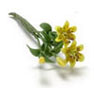 Dollhouse Miniature Tiger Lily, 2 Large Stem, Yellow