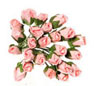 Dollhouse Miniature Rose, 2 Dozen, Half Bloom, Pink