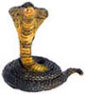 Dollhouse Miniature Monocled Cobra