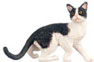 Dollhouse Miniature Cat, Black & White