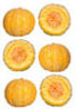 Dollhouse Miniature Cantaloupe, 6 Pc