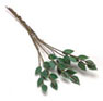 Dollhouse Miniature 6 Rose Leaves