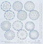 Dollhouse Miniature Doilies