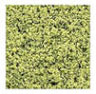 Dollhouse Miniature Fine Foliage/Turf Pale Green