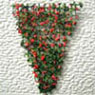 Dollhouse Miniature Vine/Trellis Red