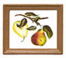 Dollhouse miniature FRAMED FRUIT PICTURES 4PCS.