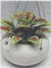 Dollhouse Miniature Greenery-Hanging