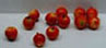 Dollhouse Miniature Red Apples, S/12