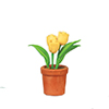 Tulip in Pot, Yellow
