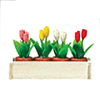 Window Box with Tulips