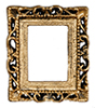 Ornate Gold Frame