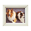 Framed Print, Two Dogs