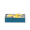 Blue Box With Fish