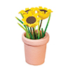 Flower in Pot