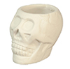 Halloween Skull Container