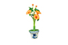 Morning Glories in Pot, Orange