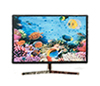 Smart Television with 3D Image of Fish