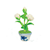 White Rose in Pot
