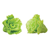 Lettuce, 2 pc.