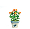 Orange Tree Plant