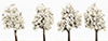 2-1/2 White Dogwood Tree, 4PK