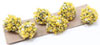 Dollhouse Miniature Border Plant: Yellow-White, Large