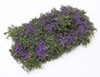 Dollhouse Miniature Creeping Phlox, Purple