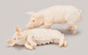 Dollhouse Miniature Pigs - Set Of 2