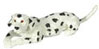 Dollhouse Miniature Laying Dalmatian, 1/2 In Scale