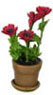 Dollhouse Miniature Anemone In Pot/Red