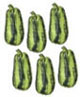 Dollhouse Miniature Squash, 6Pc