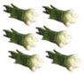 Dollhouse Miniature Green Onions/6Pc