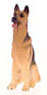 Dollhouse Miniature German Shepherd, 1/24 Scale