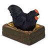Dollhouse Miniature Black Hen W/Create