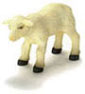 Dollhouse Miniature Sheep/Young