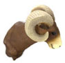 Dollhouse Miniature Big Horn Sheep Head
