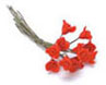 Dollhouse Miniature Roses, 1 Doz. Red