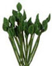 Dollhouse Miniature Rose Leafs 1 Dozen, Dark Green